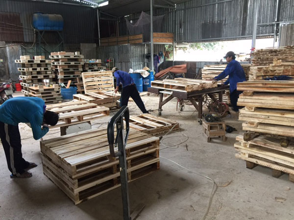 Địa chỉ đóng pallet gỗ giá rẻ tại Hải Phòng
