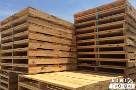 Bí quyết chọn lựa Pallet phù hợp cho doanh nghiệp của bạn.