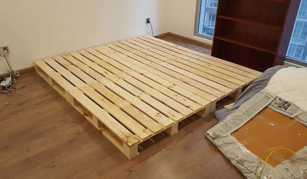 Loại gỗ nào thường được sử dụng để làm Pallet?