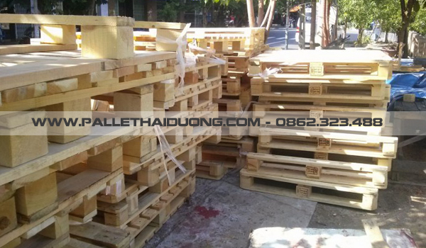 Cung cấp pallet gỗ dán tại Hải Dương