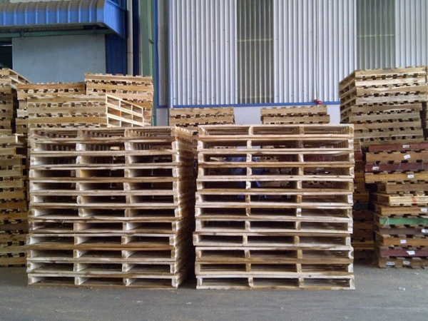 Bán pallet gỗ tại Cẩm Giàng Hải Dương