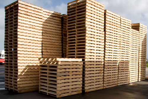 Địa chỉ chuyên cung cấp pallet gỗ giá tốt nhất Hải Phòng