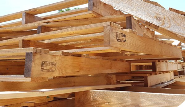Cung cấp Pallet gỗ thông tại Quảng Ninh