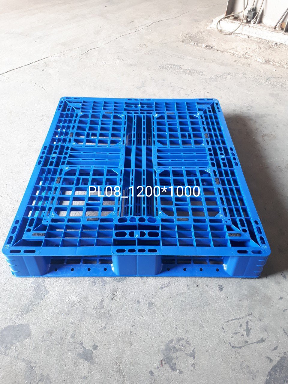 Bán pallet nhựa tại Hải Phòng